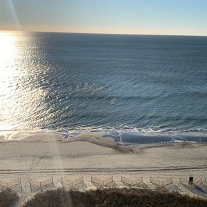 Meet your Posher, Renard